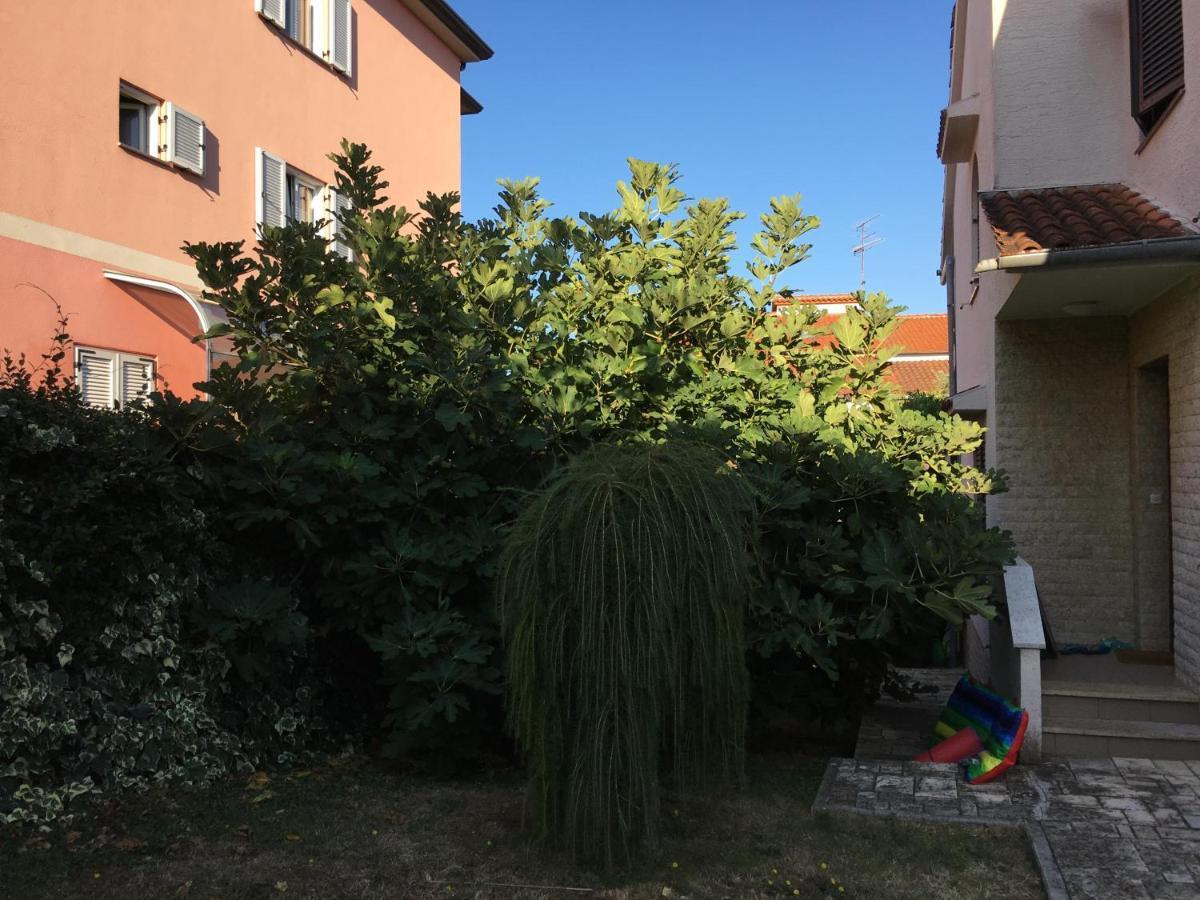 Apartments Bozena Poreč Exterior foto